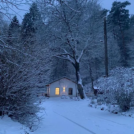 Dorotheenhof Holiday home *